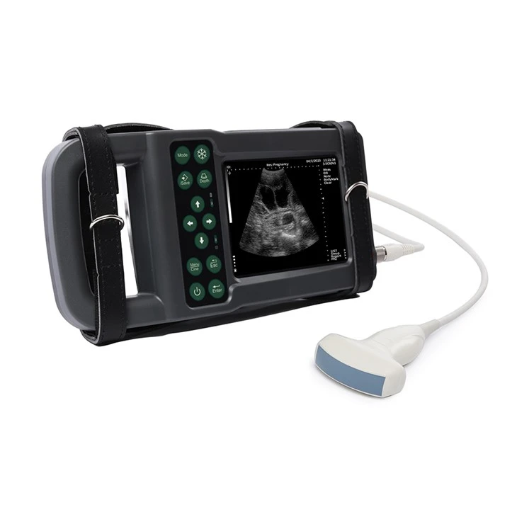 Ultrasound Machine For Dogs